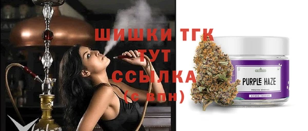 дурь Весьегонск