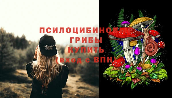 мескалин Лабытнанги