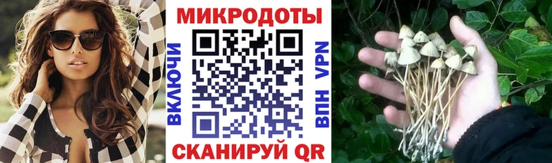 Псилоцибиновые грибы мухоморы Мещовск